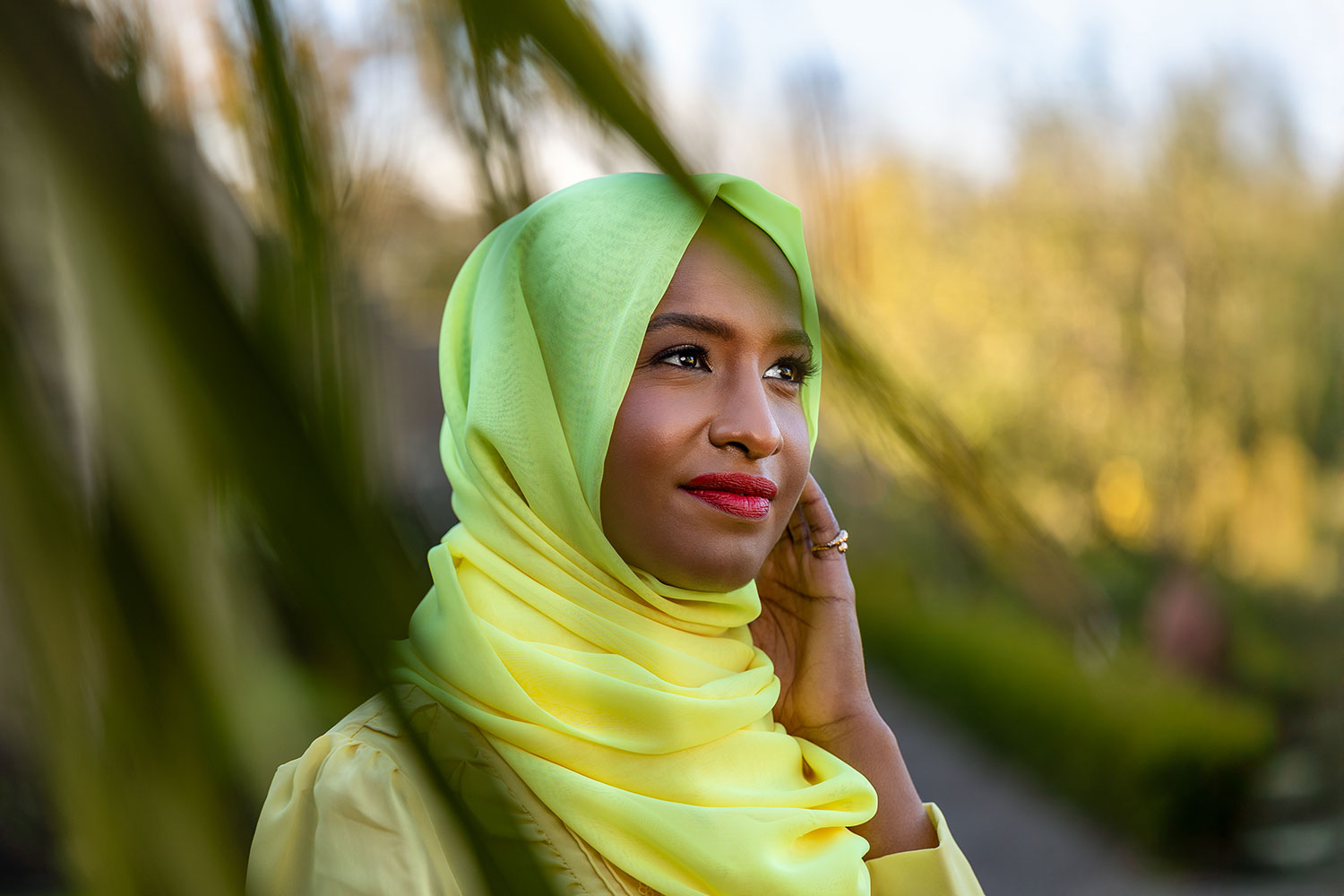 Maha photographed in Phoenix Park, Dublin
