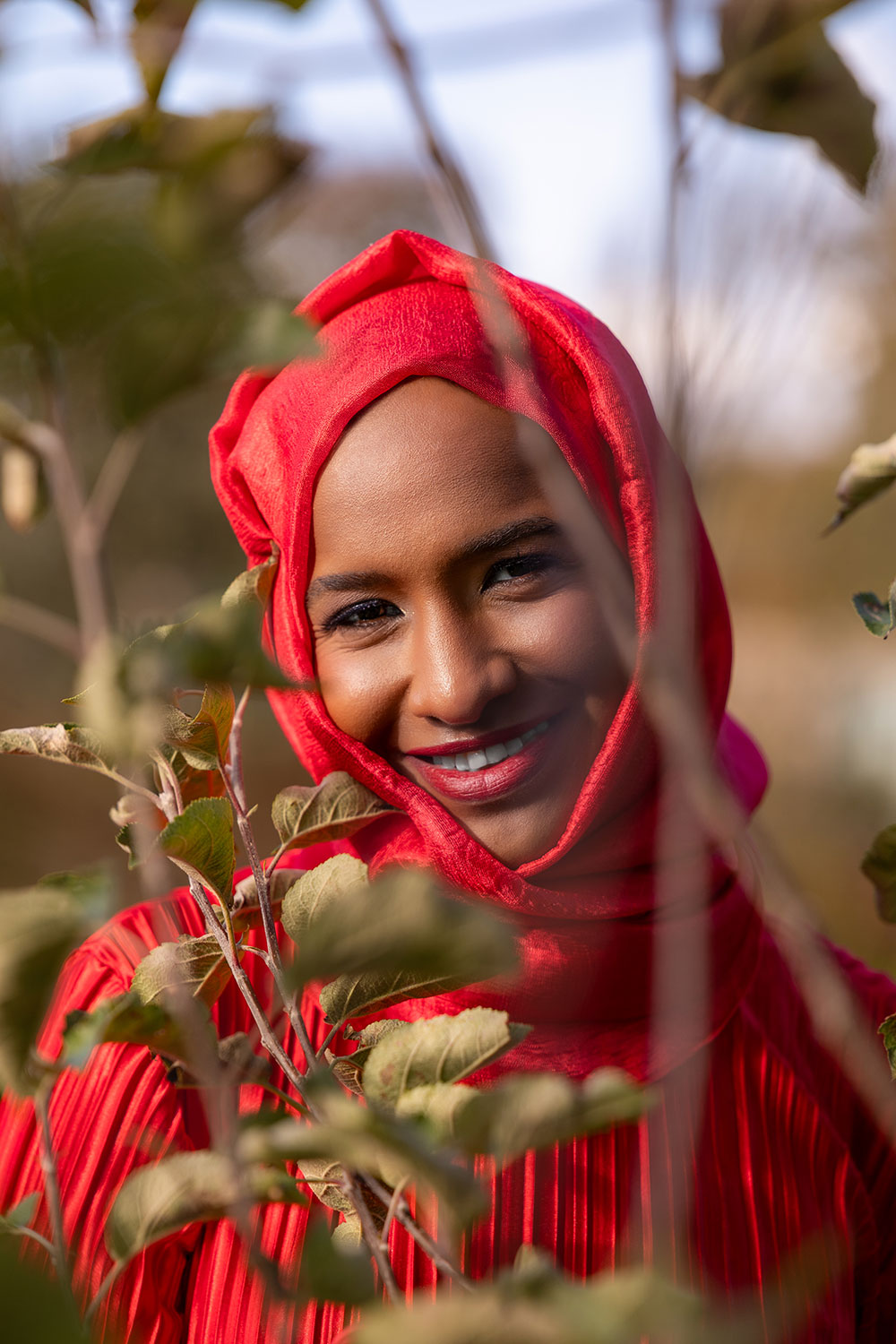 Maha photographed in Phoenix Park, Dublin