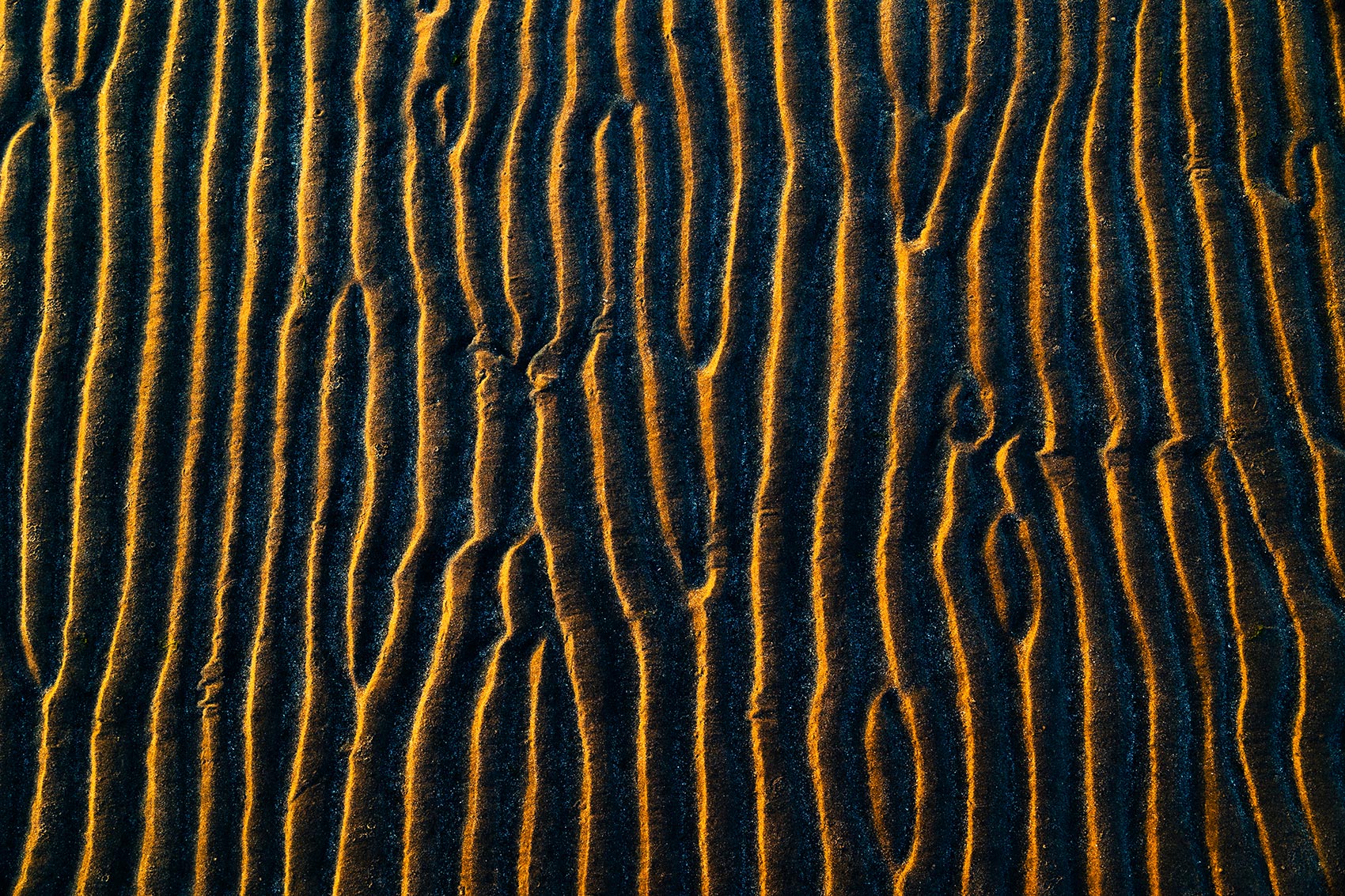 Golden Sand